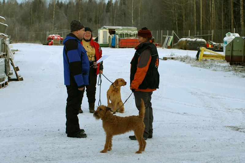 Soveltuvuustesti (8).jpg